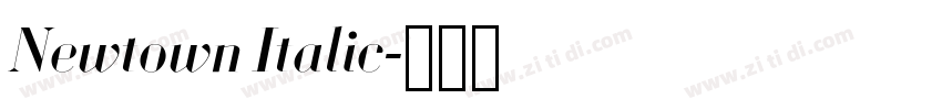 Newtown Italic字体转换
